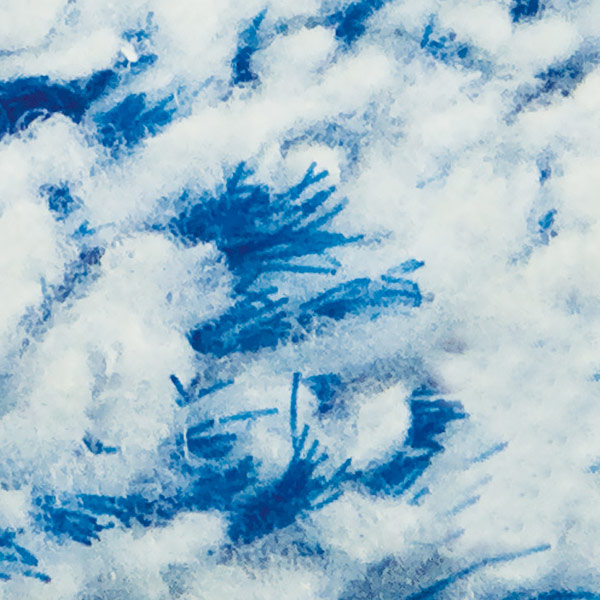 窓掃除 しぼれる 回転 窓みがき 伸縮 ( ガラスクリーナー ガラス戸 窓ガラス 掃除 清掃 )