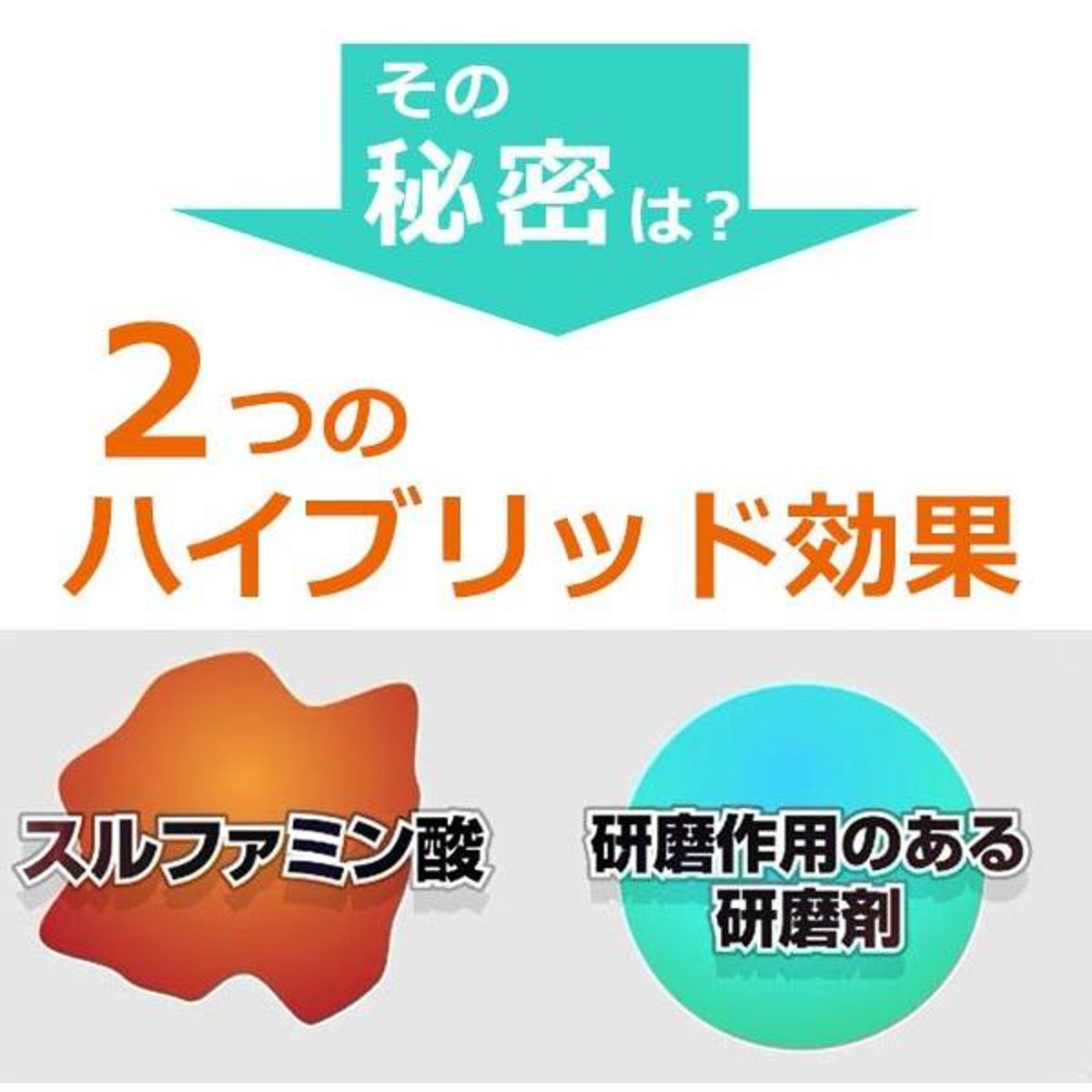 水垢落とし クレンザー 80ml お試しサイズ 茂木和哉 うろこが取れる 水あか 鏡 ( 水アカ 掃除 少量 クリーム状 シンク 磨く ウロコ取り 日本製 簡単 キレイ 掃除グッズ 掃除用品 便利グッズ )