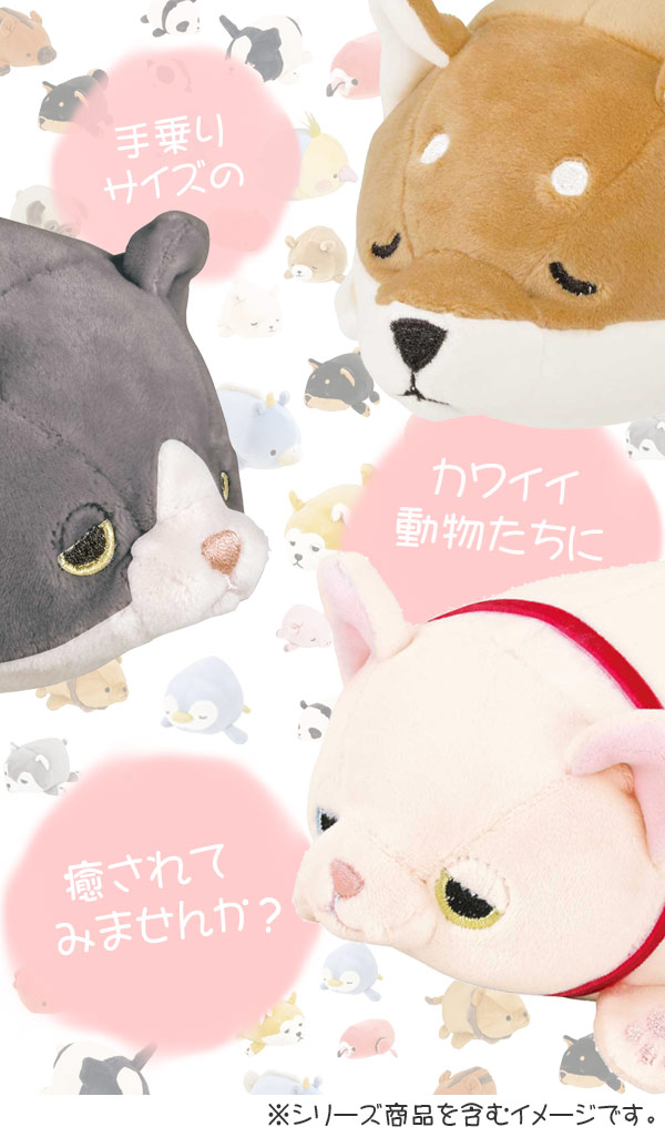 ぬいぐるみ 永遠の定番 マスコット マシュマロアニマル ネコ ふく ヌイグルミ 猫 ねこ 動物 アニマル ハチワレネコ ハチワレ ふわふわ 小さい 手洗い はちわれ かわいい 洗濯 もちもち 可愛い 小 ねむねむ 洗える 手乗りサイズ