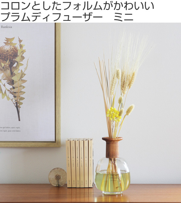 Dショッピング ディフューザー プラム ミニ アロマ スティック ルームフレグランス アロマディフューザー リードディフューザー 芳香剤 高級感 木目 ナチュラル おしゃれ 北欧風 0ml 玄関 リビング インテリア 雑貨 クリアフルーツ カテゴリ の販売