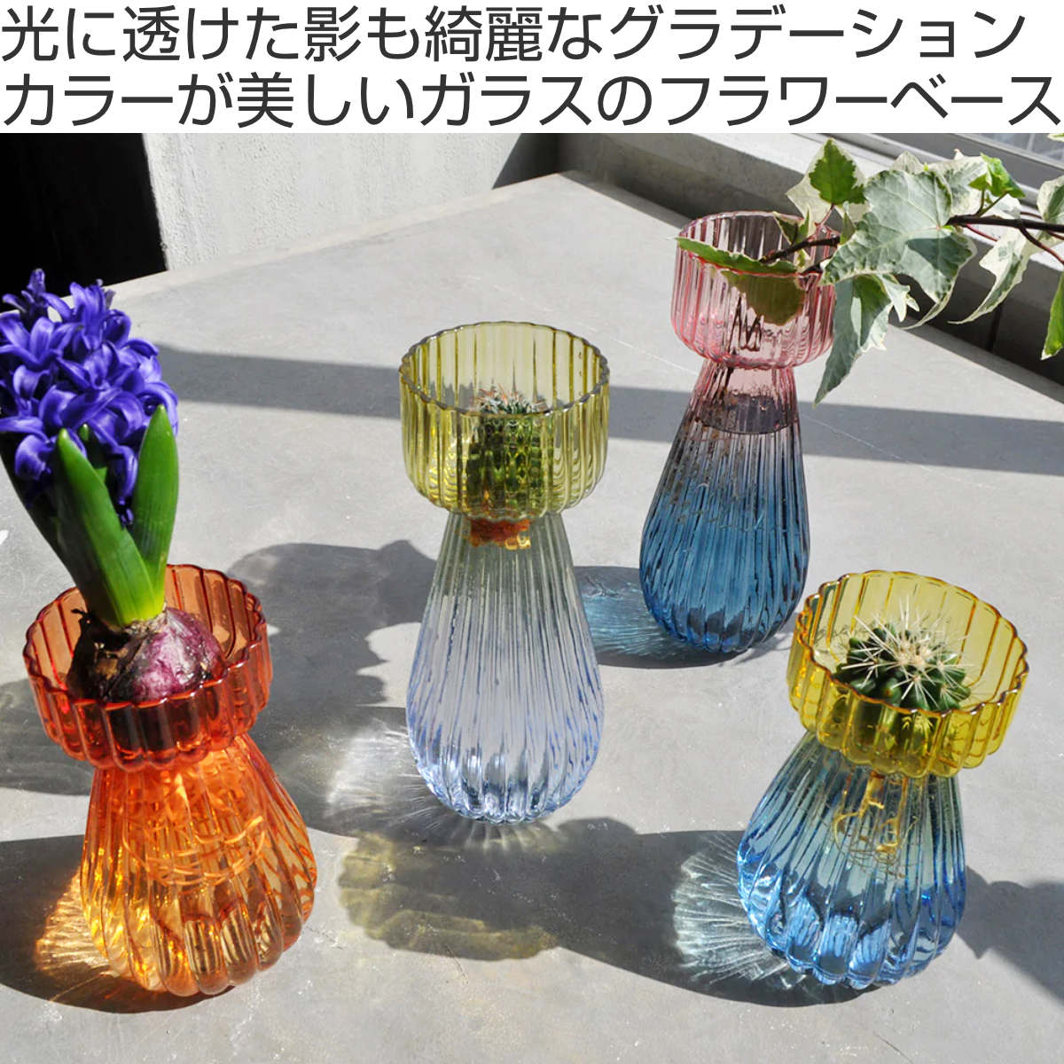 ガラスの花瓶に透明な花器を生けて梅の瓶を水で満たして家庭のリビング 