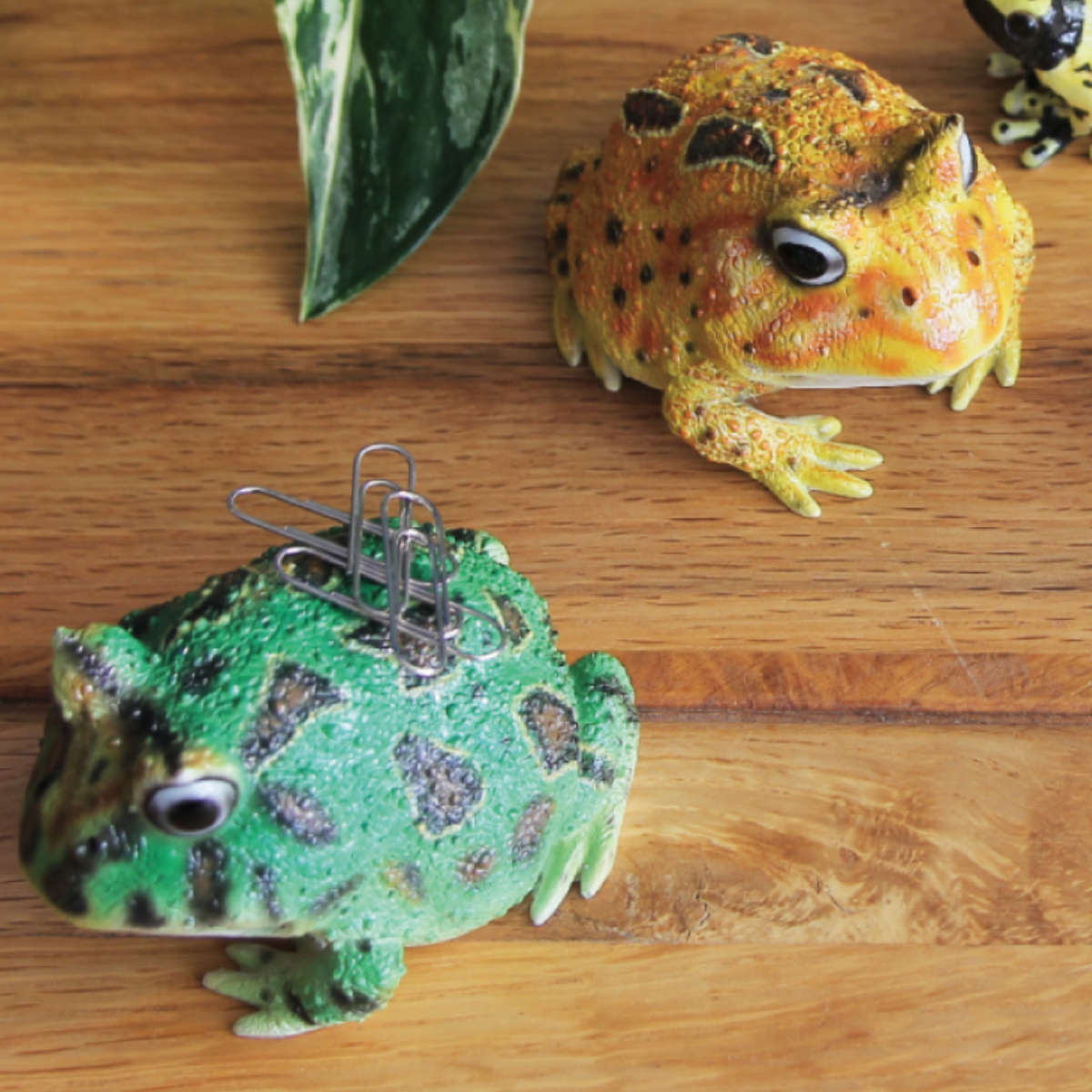 オブジェ REPTILES MAG ツノガエル （ クリップホルダー 置き物 置物 動物 蛙 カエル リアル マグネット 磁石 飾る 卓上 マスコット ディ