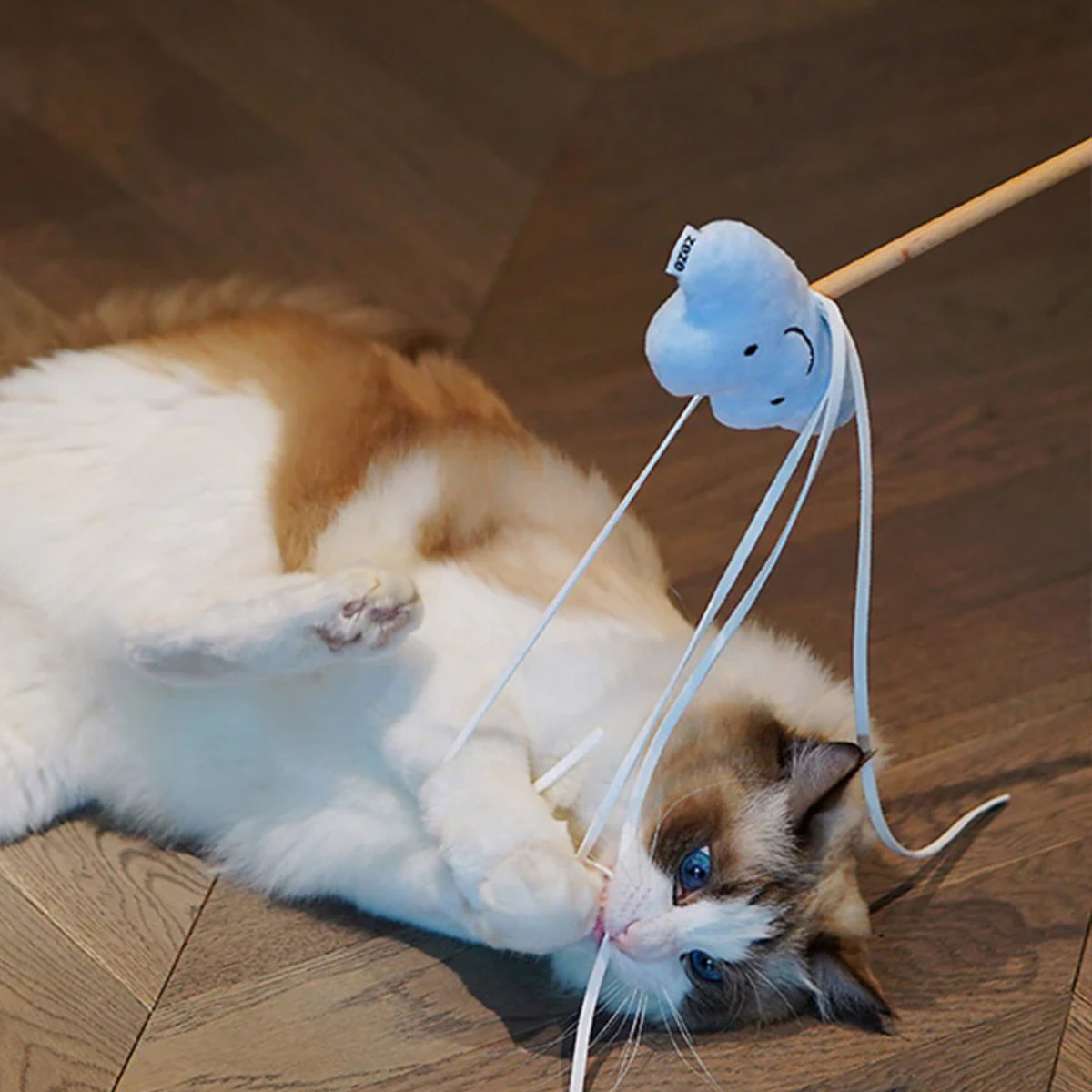 猫じゃらし Starry Sky Cat Playing Rod ZEZE おもちゃ ( ねこじゃらし 猫用おもちゃ 猫 猫用 ペット用 ペットおもちゃ マタタビ 頑丈 遊び 運動不足 ペットトイ 運動 室内遊び ストレス発散 ペット用品 かわいい ) 【MOON】 MOON