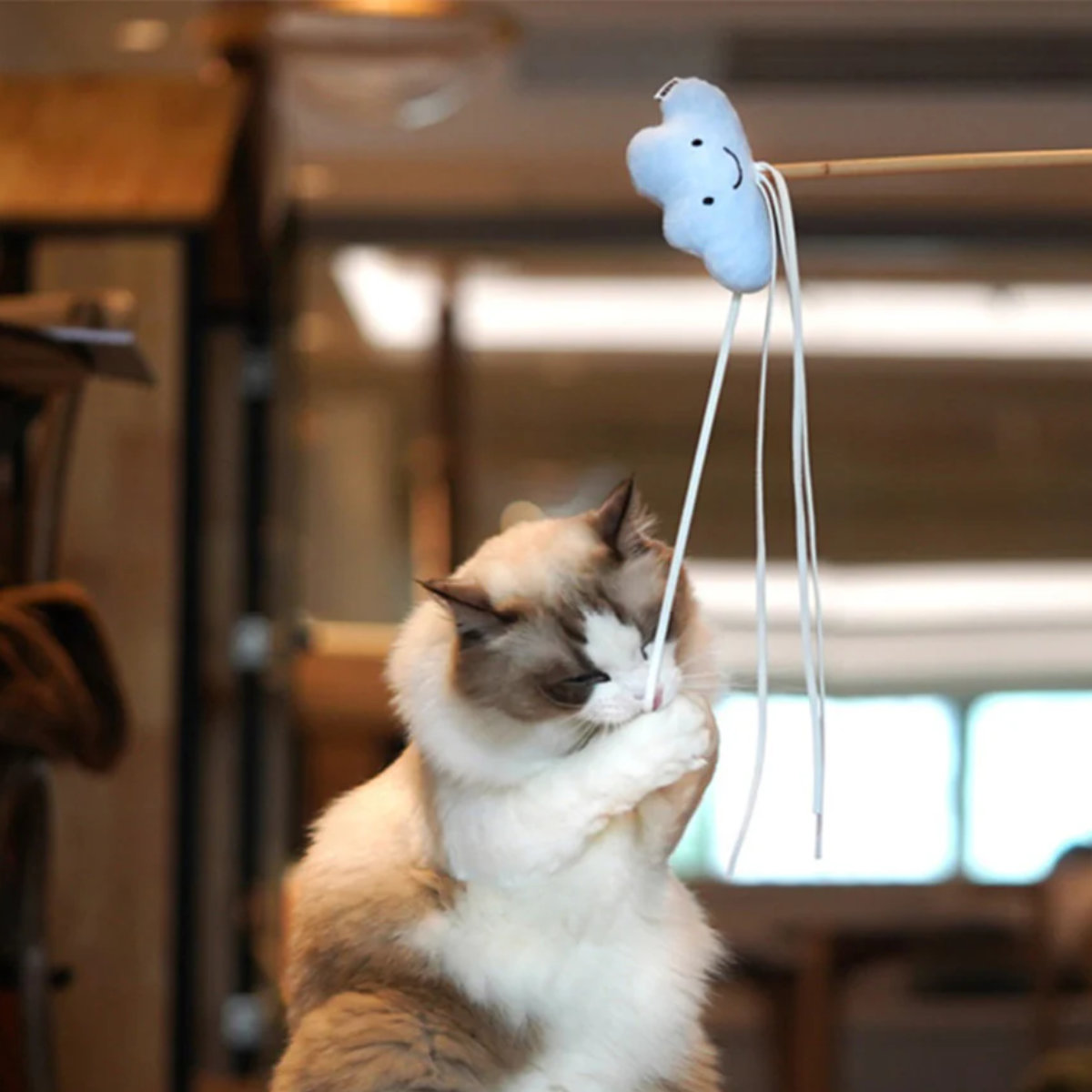 猫じゃらし Starry Sky Cat Playing Rod ZEZE おもちゃ ( ねこじゃらし 猫用おもちゃ 猫 猫用 ペット用 ペットおもちゃ マタタビ 頑丈 遊び 運動不足 ペットトイ 運動 室内遊び ストレス発散 ペット用品 かわいい ) 【MOON】 MOON