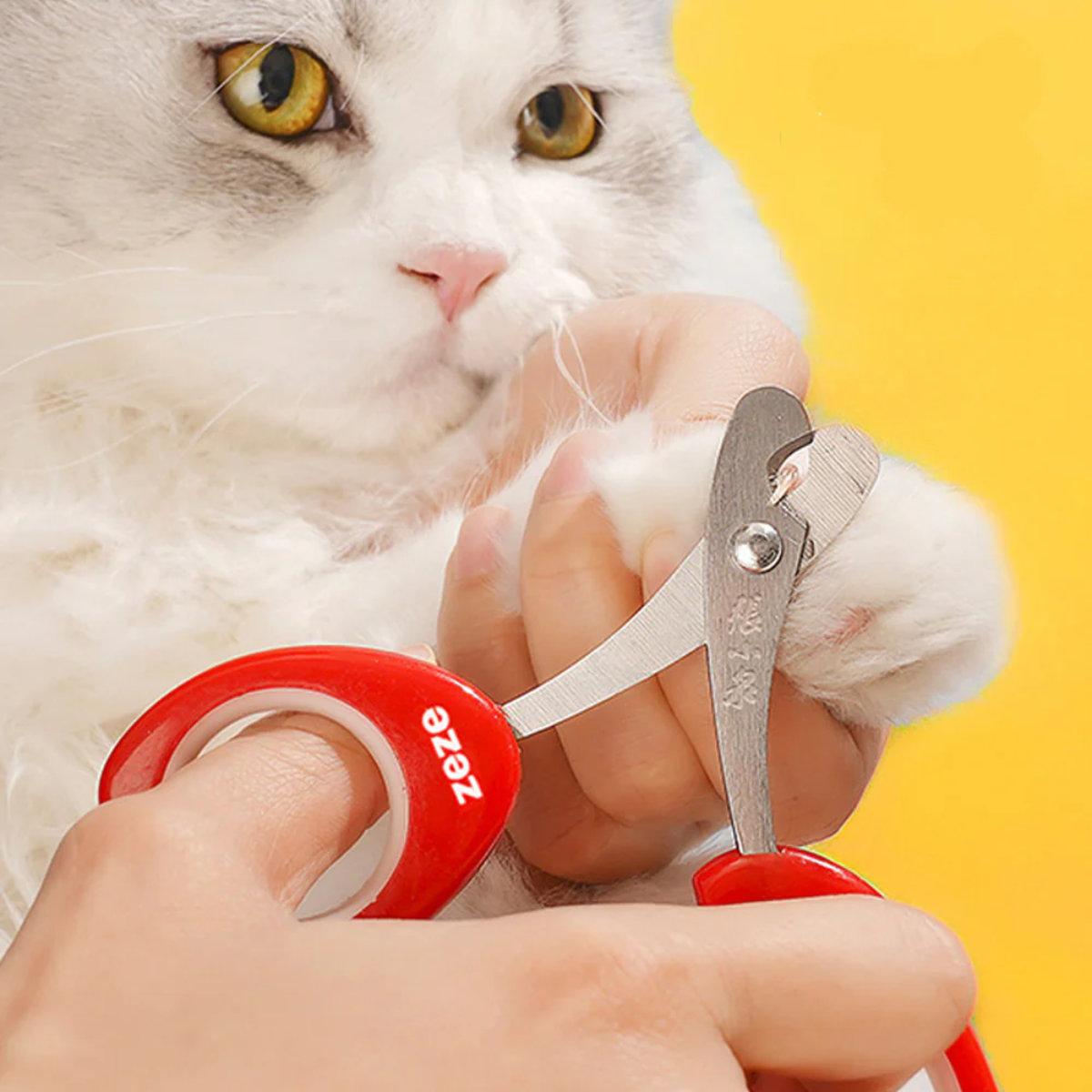 爪切り 猫 TULIP NAIL CLIPPER （ 爪きり ニッパー 猫用爪切り ペット ハサミ つめ切り ステンレス かわいい つめきり 簡単 持ちやすい 半月型 爪ケア ペット用品 ケア用品 ）