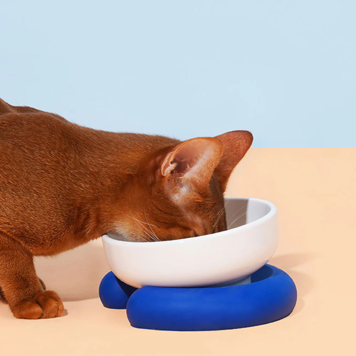 フードボウル Single Bowl Base 高さがある （ ペットボウル シングル 猫 ペット用 餌皿 エサ皿 食べやすい ペット用食器 えさ入れ 猫用 滑り止め付き ペット用品 ） 【ホワイトオレンジ】