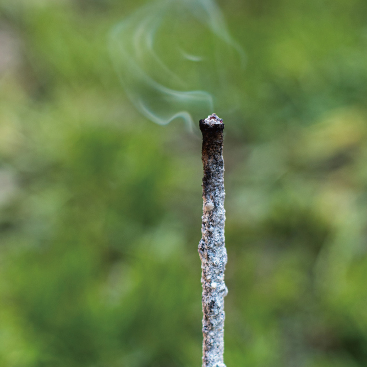 お香 サグラダマドレ INCENSE NATURAL 8本 ( インセンス スティック フレグランス 自然素材 香り 癒し スティック型 パロサント 樹脂 浄化 木 葉 空間浄化 リラックス効果 リフレッシュ リラックス サステナブル ) 【ヤグラ】 ヤグラ