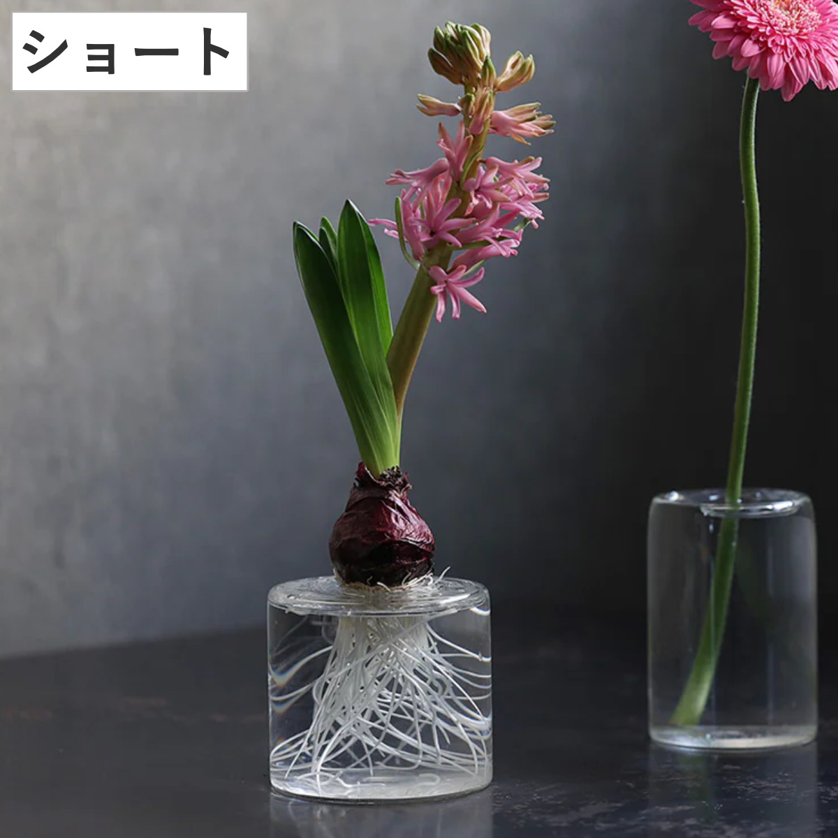 花瓶 ウリカ ショート ( 花ビン 花びん 花器 ベース ガラスベース フラワー 花 飾る 一輪挿し 花入れ ガラス ガラス製 クリア 透明 )