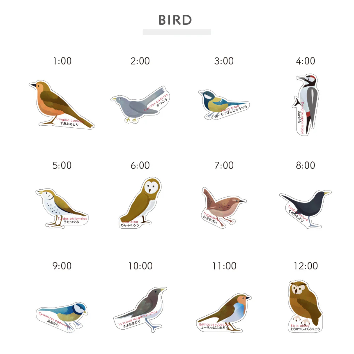 掛け時計 TICKY TACKY 時報付き おやすみモード付き 子ども部屋 ( ティッキー タッキー クロック 知育時計 アニマル 動物 鳥 鳴き声 知育 ユニーク 子供 キッズ 子ども ウォールクロック 壁掛け時計 時計 アナログ ) 【バード】 バード