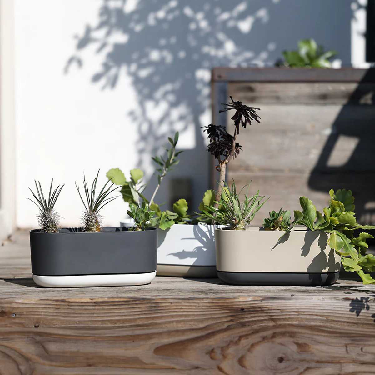 プランター エスジーアイプランター オーバル 受け皿付き （ 植木鉢 フラワーポット プラントポット プランターポット 鉢 鉢植え 植え替え おしゃれ 観葉植物 多肉植物 サボテン 園芸 受け皿 水抜き穴 自動吸水 リサイクル 楕円 ） 【グレー】