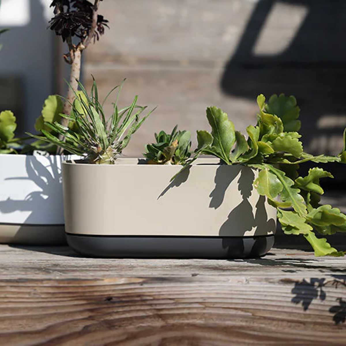 プランター エスジーアイプランター オーバル 受け皿付き ( 植木鉢 フラワーポット プラントポット プランターポット 鉢 鉢植え 植え替え おしゃれ 観葉植物 多肉植物 サボテン 園芸 受け皿 水抜き穴 自動吸水 リサイクル 楕円 ) 【グレー】 グレー