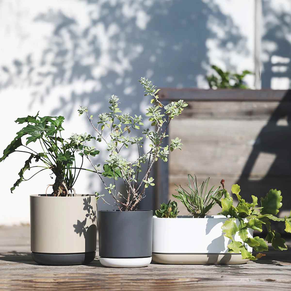 プランター エスジーアイプランター オーバル 受け皿付き ( 植木鉢 フラワーポット プラントポット プランターポット 鉢 鉢植え 植え替え おしゃれ 観葉植物 多肉植物 サボテン 園芸 受け皿 水抜き穴 自動吸水 リサイクル 楕円 ) 【グレー】 グレー