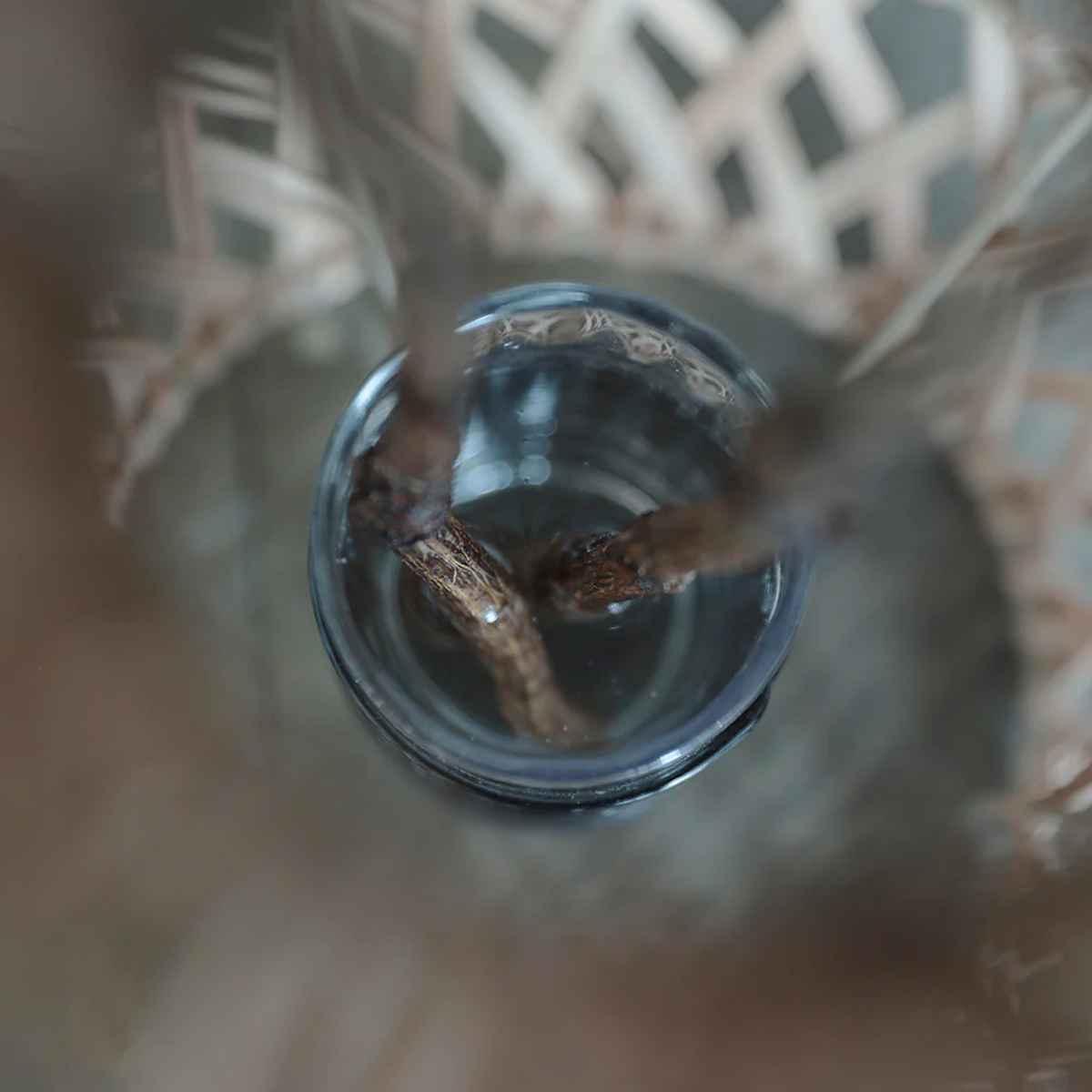 花瓶 sadio Flow サディオ ラタン ( 花ビン 花びん 花器 フラワーベース フラワー 花 飾る 花入れ ラタン ラタン製 籐 おしゃれ 一輪挿し ランプシェード )