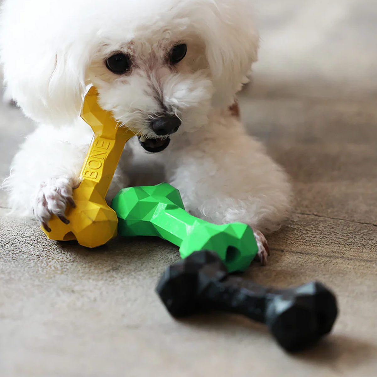 ペット おもちゃ ペットイ BONE ( ペット用おもちゃ 犬用 噛むおもちゃ ラバートイ ストレス発散 ペットおもちゃ ペット用品 ペットトイ ) 【ブラック】