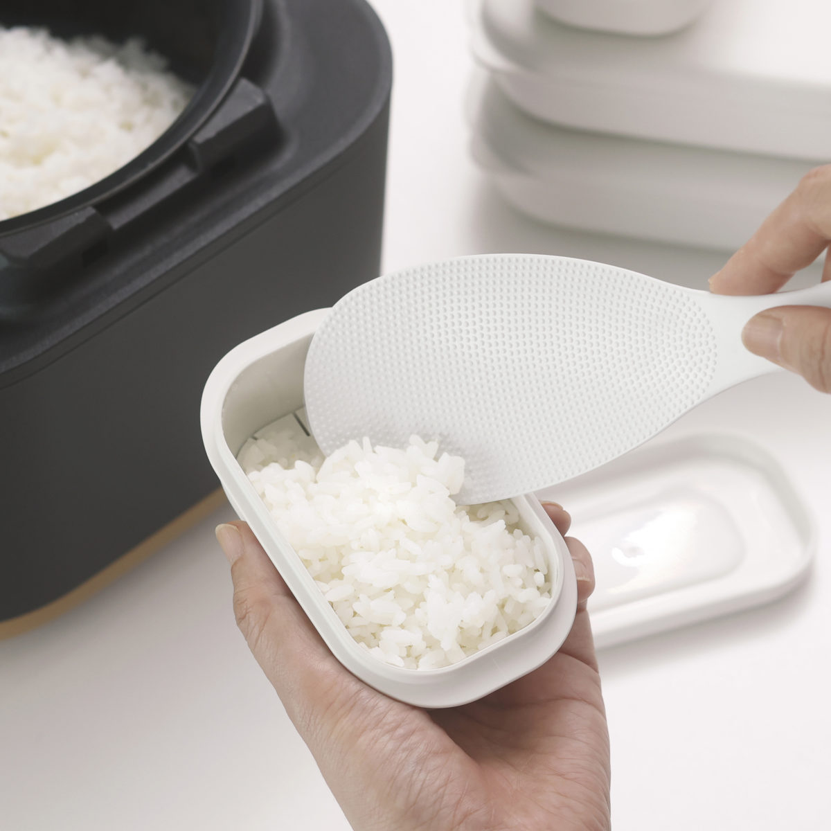 marna マーナ 極 冷凍ごはん容器 小 K811 ( 保存容器 2個入り 日本製 食洗機対応 電子レンジ対応 冷凍ご飯容器 冷凍保存 冷凍 100g 小盛 ふっくら お弁当 お米 ごはん ご飯 米 容器 小分け 保存 炊き立てごはん 炊き立てご飯 )