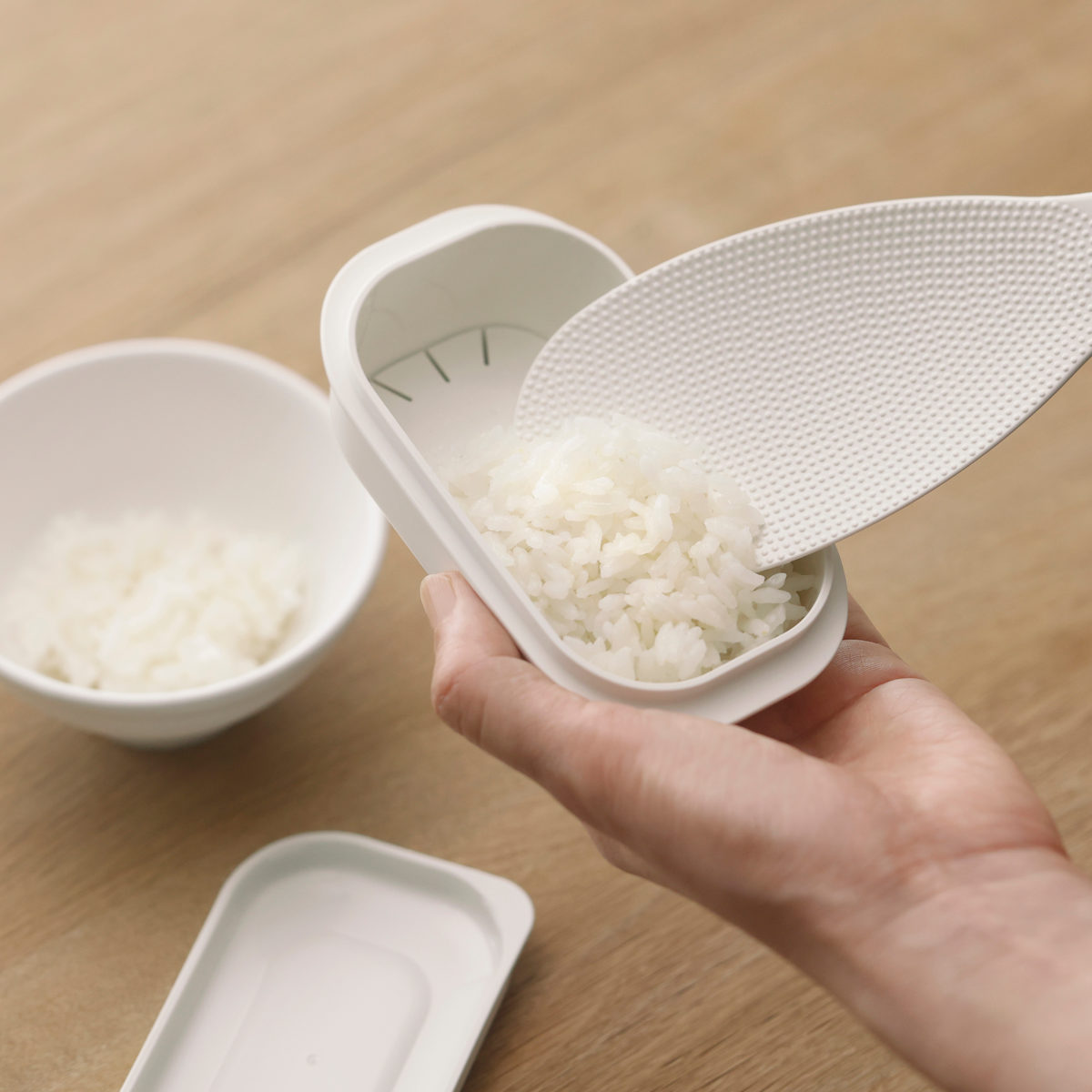 marna マーナ 極 冷凍ごはん容器 小 K811 2個セット ( 保存容器 2個入り 日本製 食洗機対応 電子レンジ対応 冷凍ご飯容器 冷凍保存 冷凍 100g 小盛 ふっくら お弁当 お米 ごはん ご飯 米 容器 小分け 保存 炊き立てごはん )