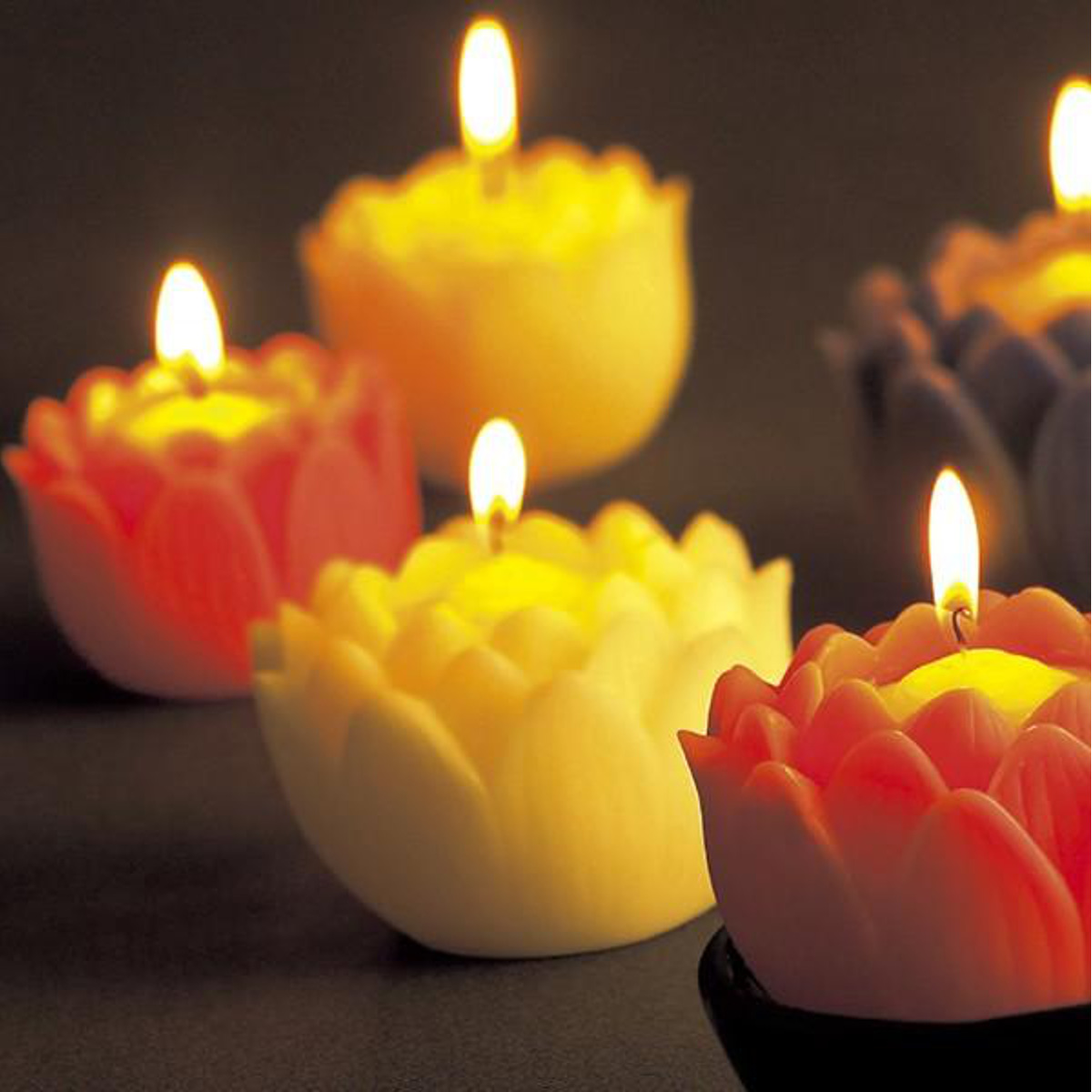 ローソク 蓮の花 大 ホワイト 燭台付 24時間 ( 花 ろうそく お供え ロウソク 蝋燭 ハス 蓮 白 キャンドル 24時間燃焼 長時間 お墓参り お盆 仏壇 仏具 進物 四十九日 49日 初盆 お悔み 命日 通夜 お墓 仏前 御供 帰省 ギフト )