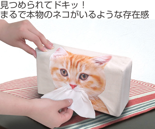 Dショッピング ティッシュケース ねこのティッシュケース ねこのしっぽ ねこ ネコ グッズ 猫 雑貨 ハチワレ かわいい おしゃれ ティッシュボックス ティッシュカバー ティッシュ ケース カバー キジトラ 茶トラ 茶トラ猫 リアル キジトラ カテゴリ