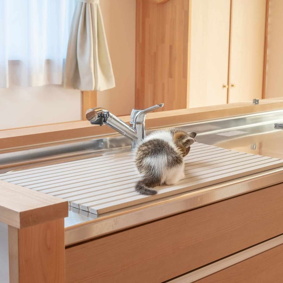 シンクカバー 幅70cm Ag+ 抗菌 シンクの目隠しカバー ペットの侵入を防ぐ 47.2×70cm ( 日本製 シンク用フタ シンク蓋 蓋 フタ 流し台 猫 シンク 防止 シンク用 水回り 目隠し 折りたたみ キッチン )