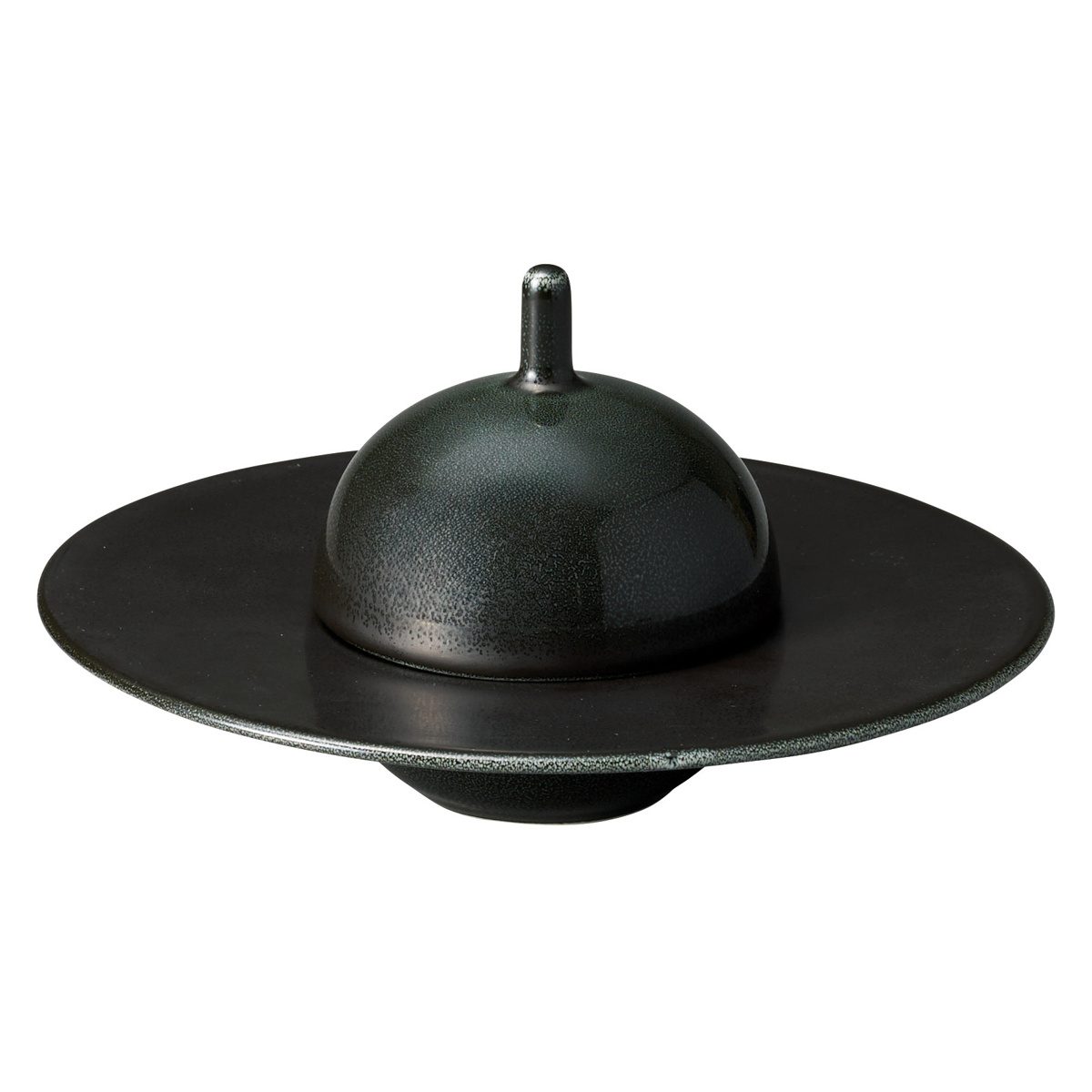 プレート コスタヴェルデ サトゥルノ グルメプレート 19.2cm ( 磁器 電子レンジ対応 食洗機対応 オーブン対応 お皿 皿 パスタ皿 パスタプレート おしゃれ かわいい リムプレート リム パスタ スープ 縁 高級感 レストラン 店舗 ) 【ブラック】 ブラック