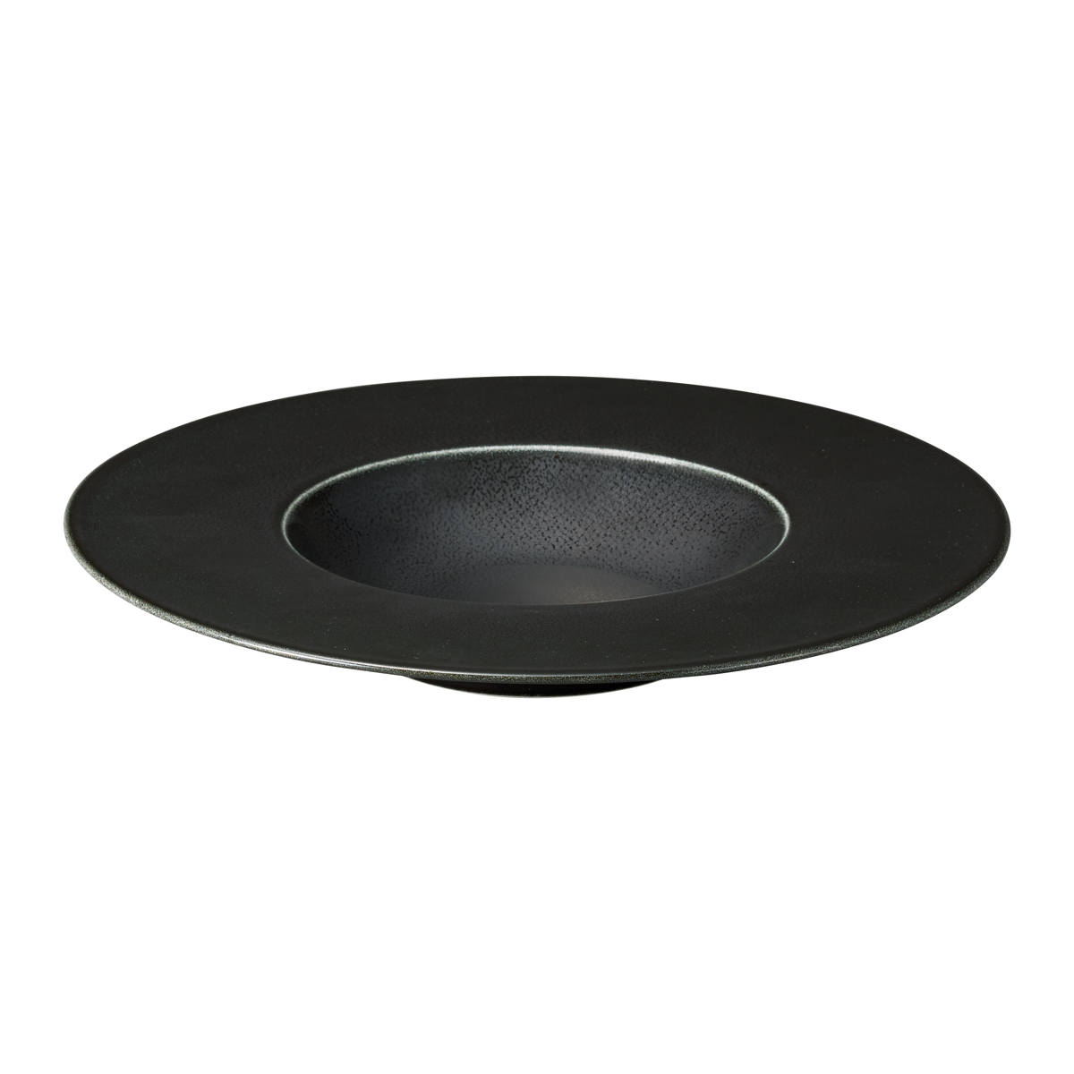 プレート コスタヴェルデ サトゥルノ グルメプレート 25cm ( 磁器 電子レンジ対応 食洗機対応 オーブン対応 パスタ皿 パスタプレート パスタボウル おしゃれ リム パスタ スープ 縁 スタイリッシュ 高級感 レストラン 店舗 ) 【ブラウン】 ブラウン