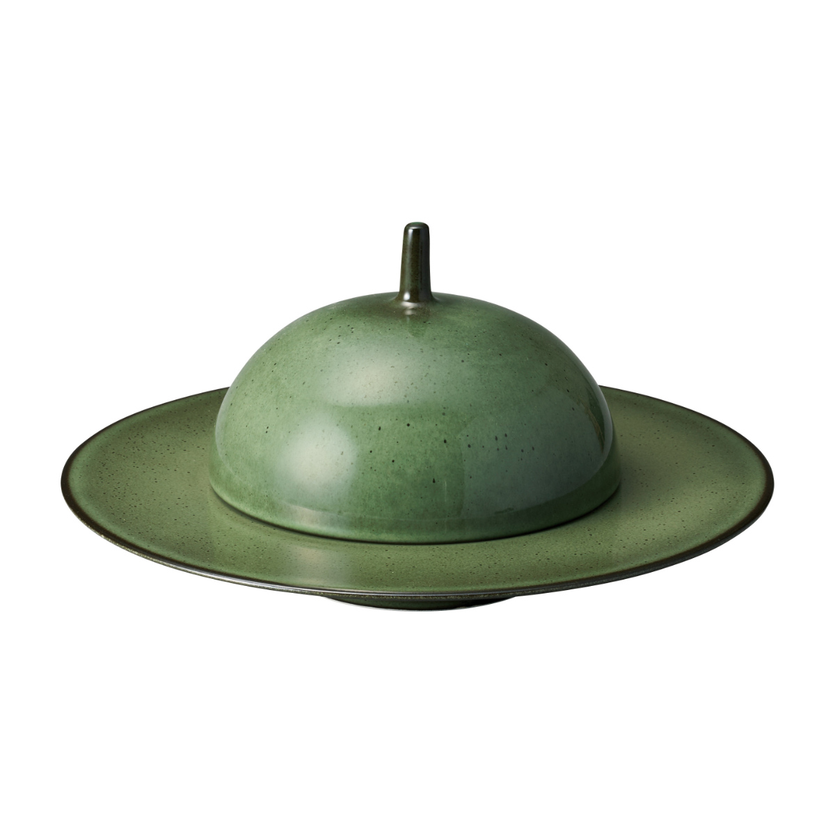 プレート コスタヴェルデ アングリー グルメプレート 28.8cm ( 磁器 電子レンジ対応 食洗機対応 オーブン対応 パスタ皿 パスタプレート パスタボウル リム パスタ スープ 縁 スタイリッシュ 高級感 レストラン 店舗 おしゃれ ) 【グリーン】 グリーン