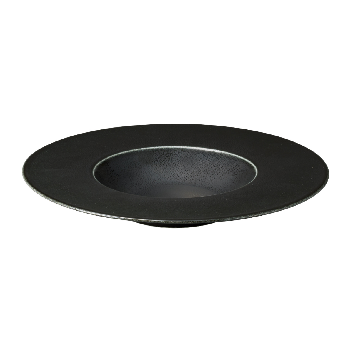 プレート コスタヴェルデ アングリー グルメプレート 28.8cm ( 磁器 電子レンジ対応 食洗機対応 オーブン対応 パスタ皿 パスタプレート パスタボウル リム パスタ スープ 縁 スタイリッシュ 高級感 レストラン 店舗 おしゃれ ) 【グリーン】 グリーン