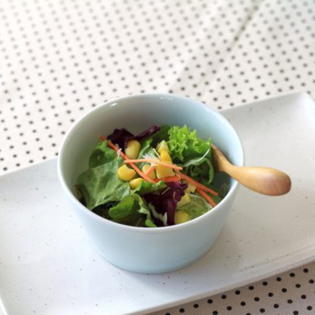 鉢 レガンテ 台形 サラダボール 青磁 ( 磁器 美濃焼 日本製 ボウル 器 うつわ 電子レンジ対応 食洗機対応 おしゃれ かわいい サラダ 深い スープ 食器 )