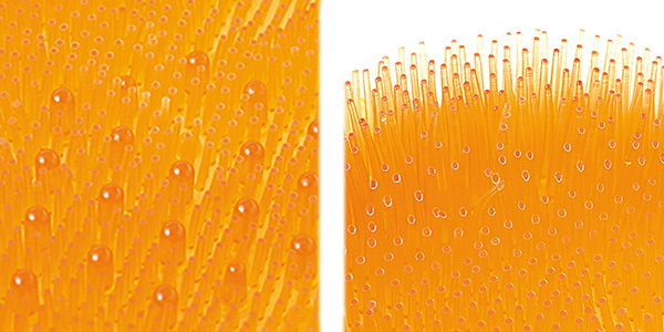 フットケア フットブラシ toneフットブラシ ブルー ( 足裏 角質 マッサージ 足 角質ケア 臭い 臭いケア 足裏ケア お風呂 マッサージグッズ ボディケア 足洗いマット 角質ケアブラシ ) 【ピンク】 ピンク