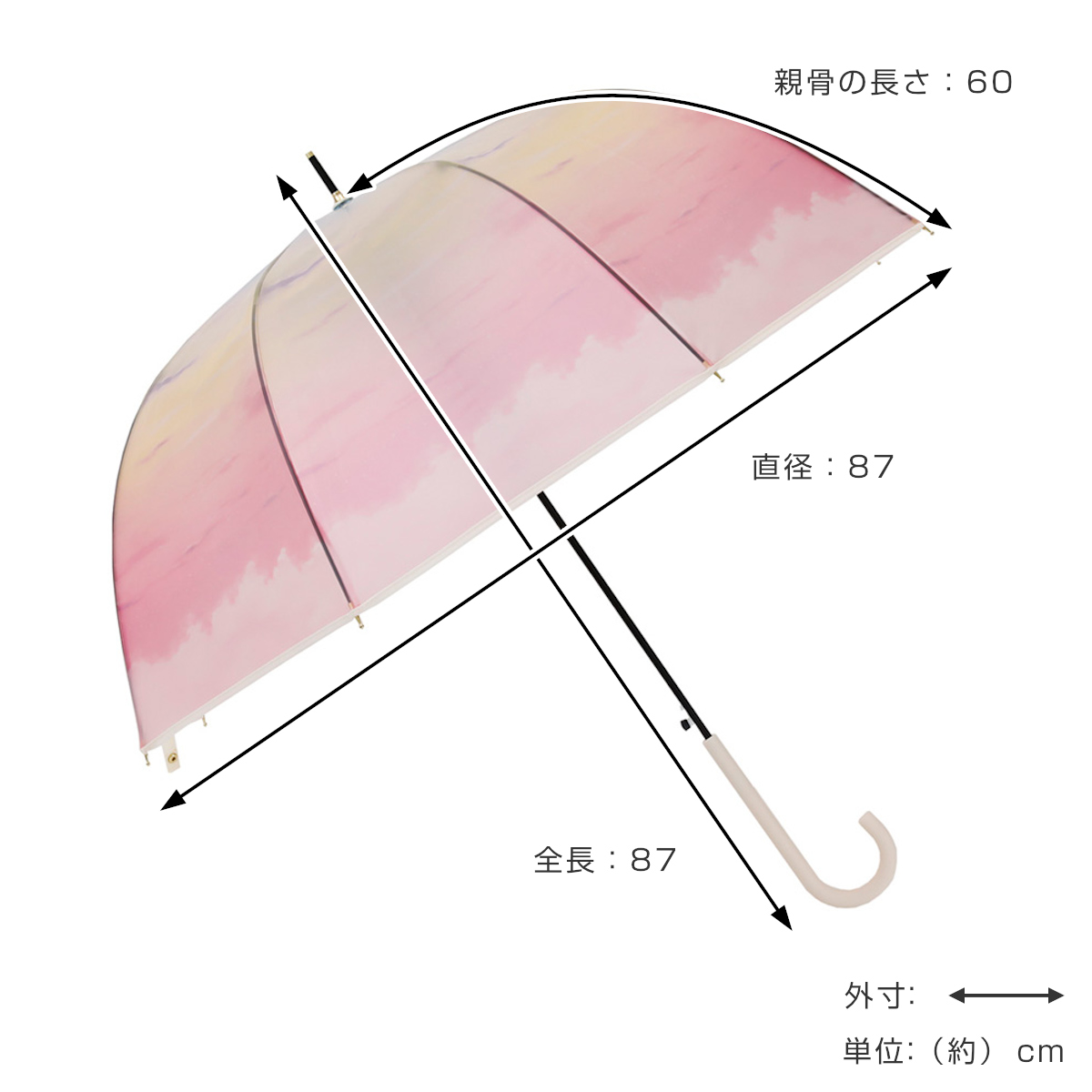 雨傘 長傘 LINEDROPS マットクリア アンブレラ 60cm ジャンプ式 ( 傘 ビニール傘 半透明 ドーム レディース かさ 丈夫 撥水 ワンタッチ 開きやすい カサ 通勤 通学 お出かけ プレゼント おしゃれ かわいい ) 【ブルーデイジー】 ブルーデイジー