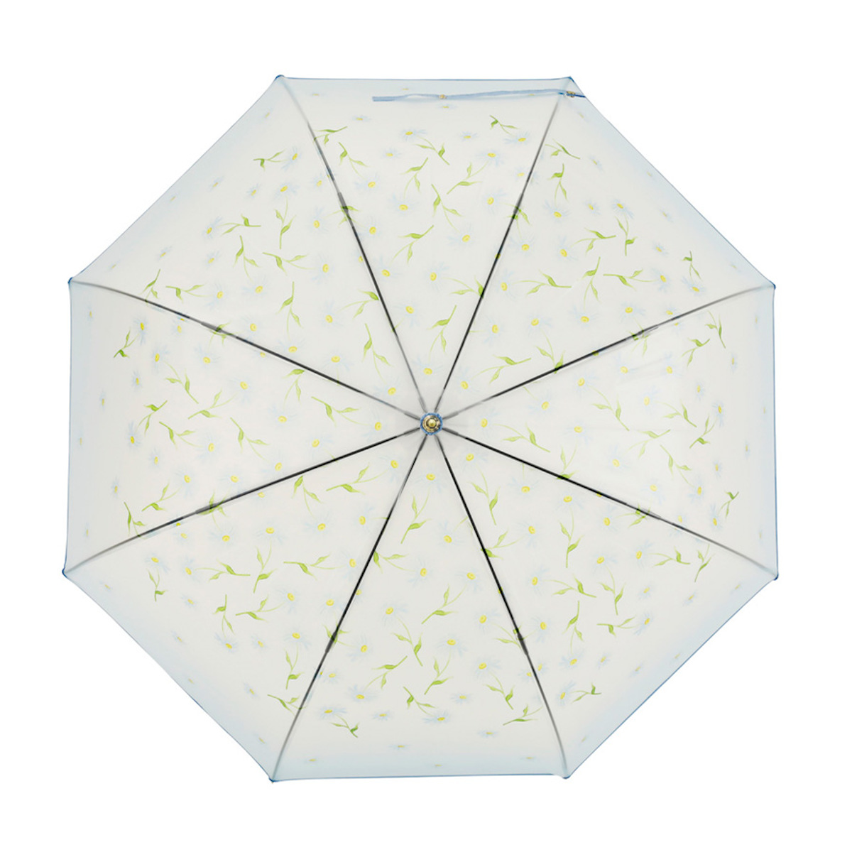 雨傘 長傘 LINEDROPS マットクリア アンブレラ 60cm ジャンプ式 ( 傘 ビニール傘 半透明 ドーム レディース かさ 丈夫 撥水 ワンタッチ 開きやすい カサ 通勤 通学 お出かけ プレゼント おしゃれ かわいい ) 【ブルーデイジー】 ブルーデイジー