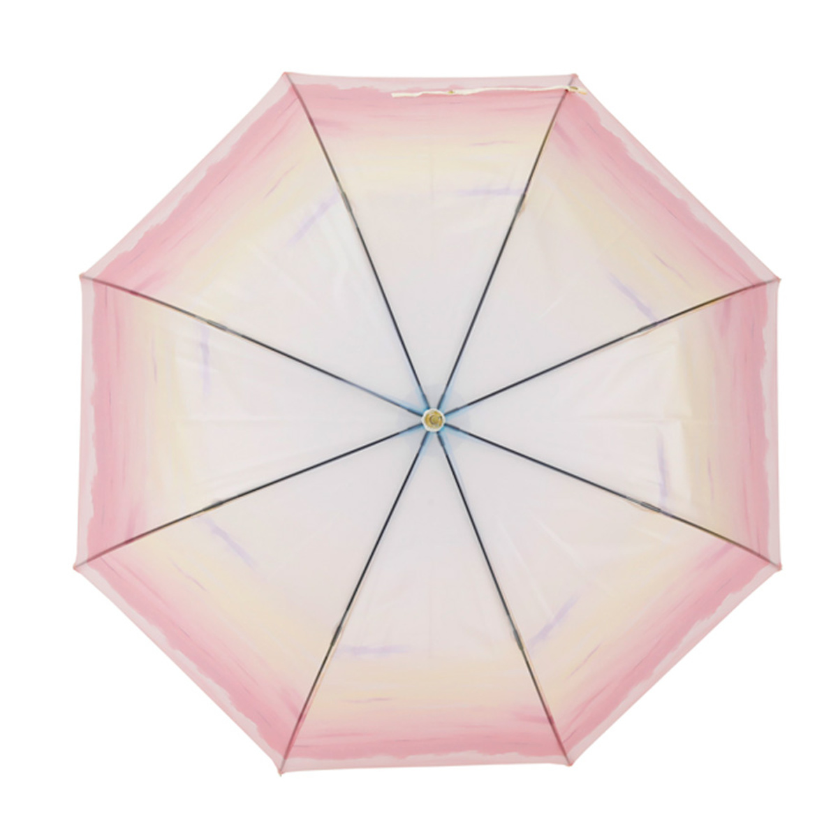 雨傘 長傘 LINEDROPS マットクリア アンブレラ 60cm ジャンプ式 ( 傘 ビニール傘 半透明 ドーム レディース かさ 丈夫 撥水 ワンタッチ 開きやすい カサ 通勤 通学 お出かけ プレゼント おしゃれ かわいい ) 【ブルーデイジー】 ブルーデイジー