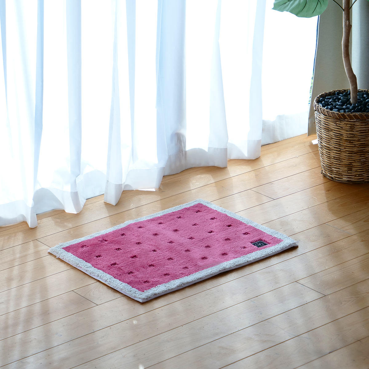 バスマット 乾度良好 Ag+ クリーンフット 45×60cm ( マット バス用品 速乾 吸水速乾 Ag抗菌 抗菌 銀イオン 足拭きマット 足ふきマット お風呂マット 浴室マット 除菌 吸水 洗える お風呂 ) 【ベージュ】 ベージュ