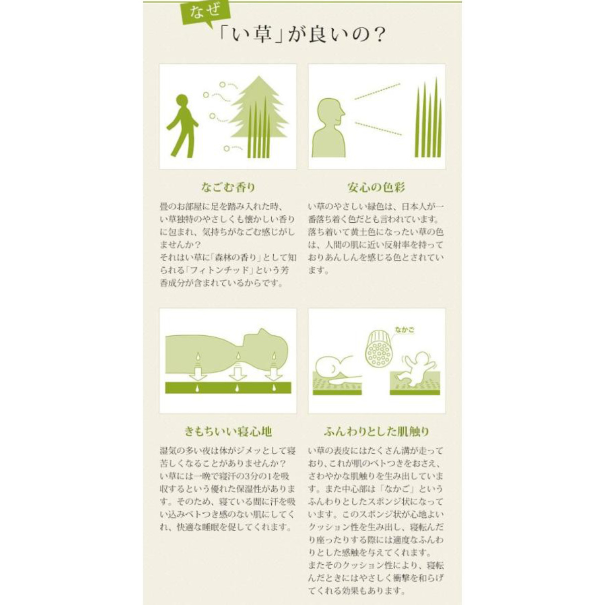 い草 上敷き 鈴草 6畳 江戸間 約261×352cm 撥水加工 ( い草上敷き 和室 6帖 イグサ マット い草ラグ 敷物 畳マット 天然素材 防ダニ 防カビ 抗菌効果 )