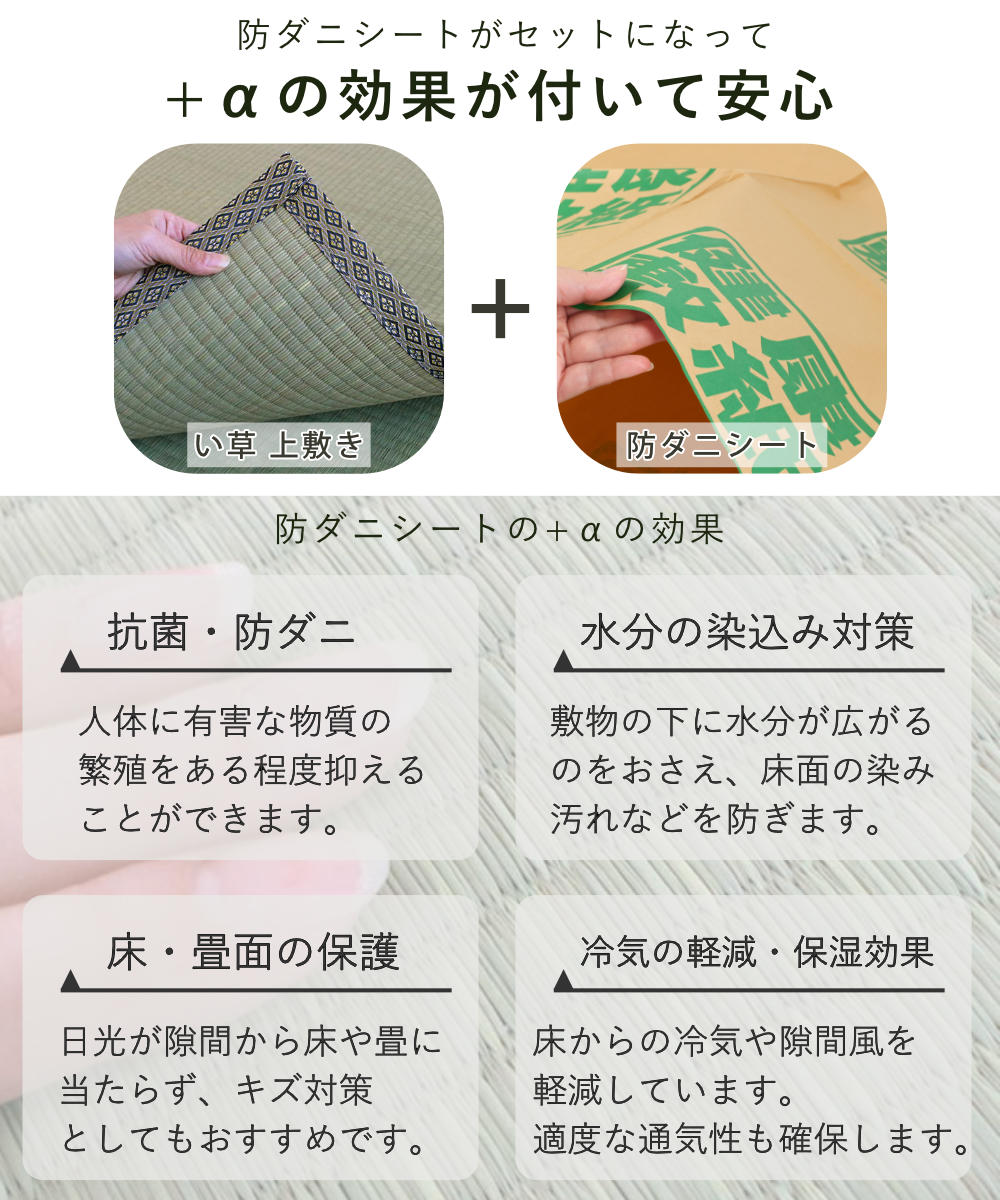 い草 上敷きセット 江戸間 3帖 白山+防ダニシート健康敷紙 白山 双目 ( い草マット い草カーペット カーペット ラグ ござ 防ダニシート付き 天然素材 抗菌加工 防ダニ 消臭性 除湿 保湿 静音 防ダニシート 防ダニ加工 抗菌 )