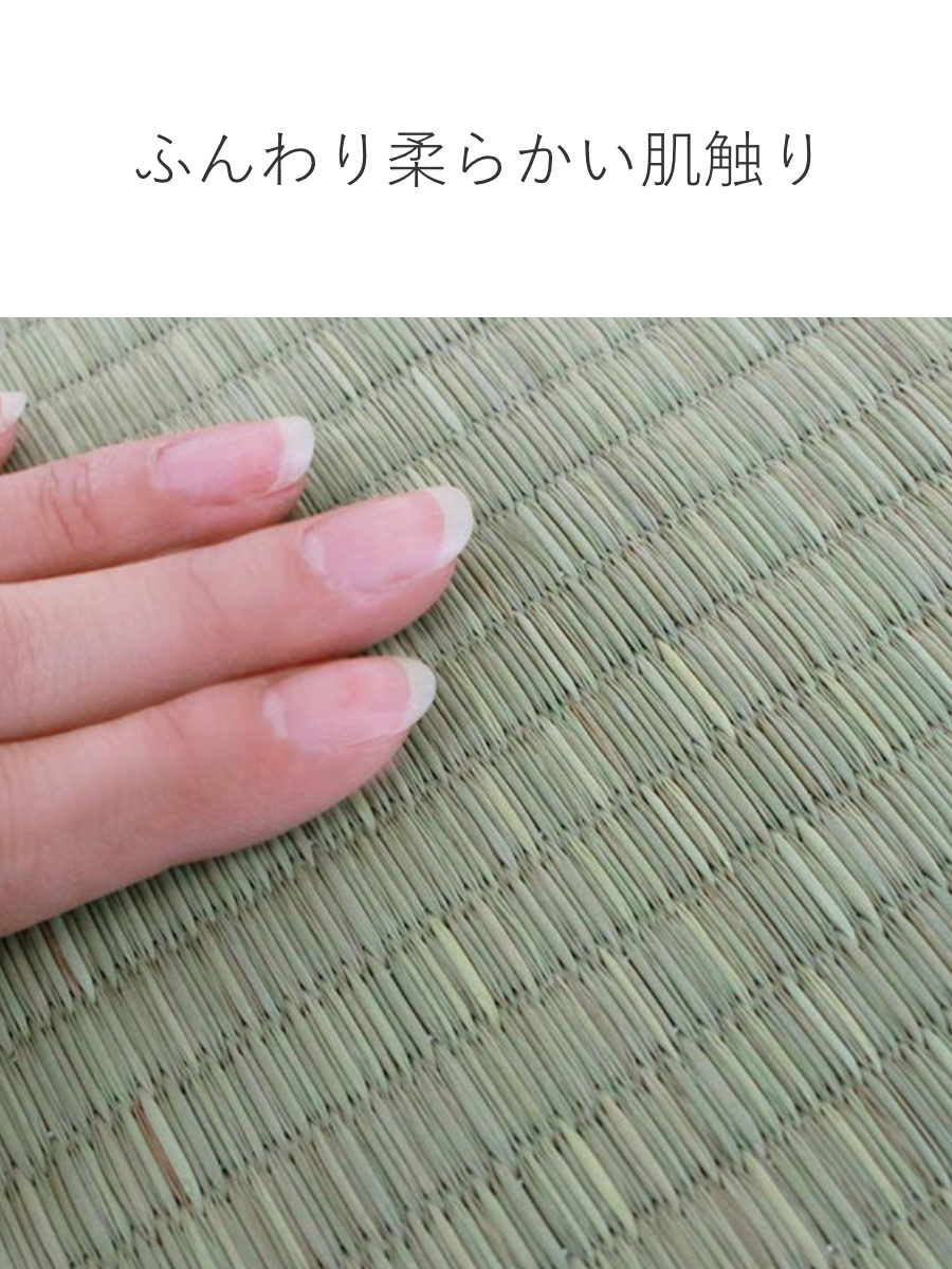 い草 上敷きセット 江戸間 4.5帖 白山+防ダニシート健康敷紙 白山 双目 ( い草マット い草カーペット カーペット ラグ ござ 防ダニシート付き 天然素材 抗菌加工 防ダニ 消臭性 除湿 保湿 静音 防ダニシート 防ダニ加工 抗菌 )