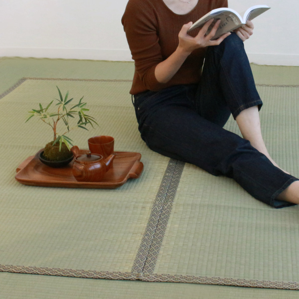 い草 上敷きセット 江戸間 6帖 白山+防ダニシート健康敷紙 白山 双目 ( い草マット い草カーペット カーペット ラグ ござ 防ダニシート付き 天然素材 抗菌加工 防ダニ 消臭性 除湿 保湿 静音 防ダニシート 防ダニ加工 抗菌 )