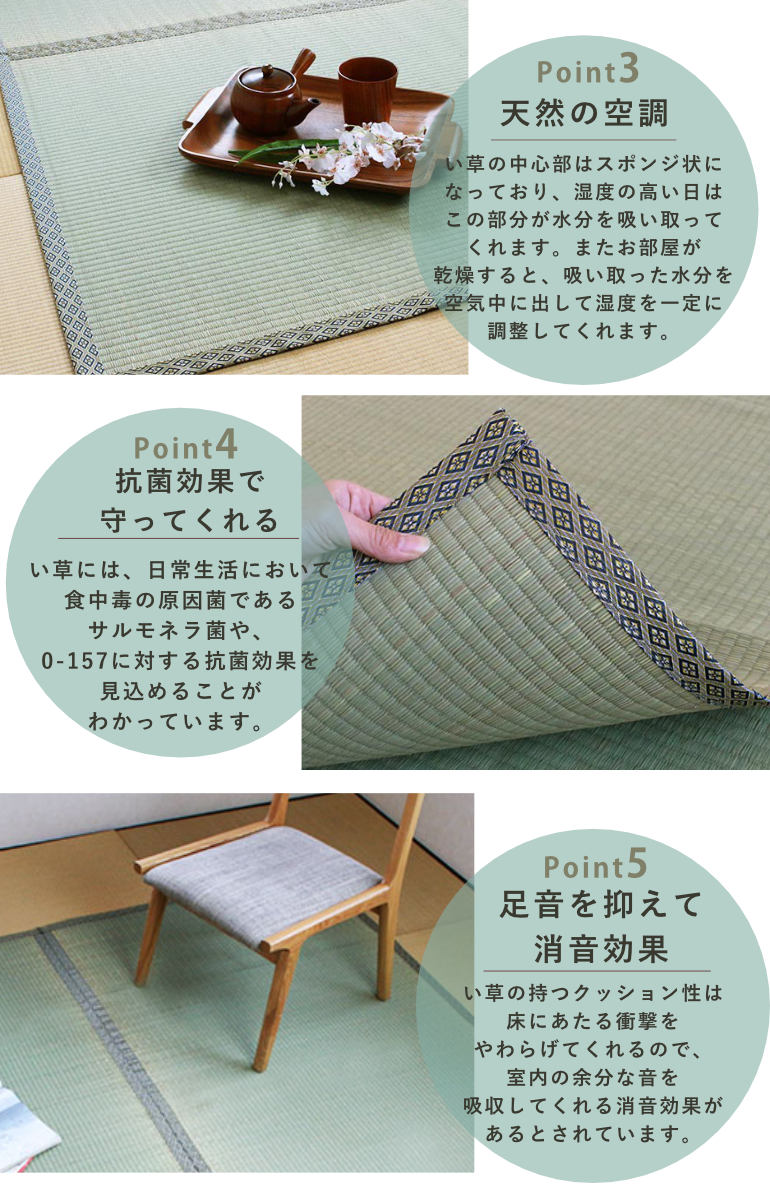 い草 上敷きセット 江戸間 6帖 白山+防ダニシート健康敷紙 白山 双目 ( い草マット い草カーペット カーペット ラグ ござ 防ダニシート付き 天然素材 抗菌加工 防ダニ 消臭性 除湿 保湿 静音 防ダニシート 防ダニ加工 抗菌 )