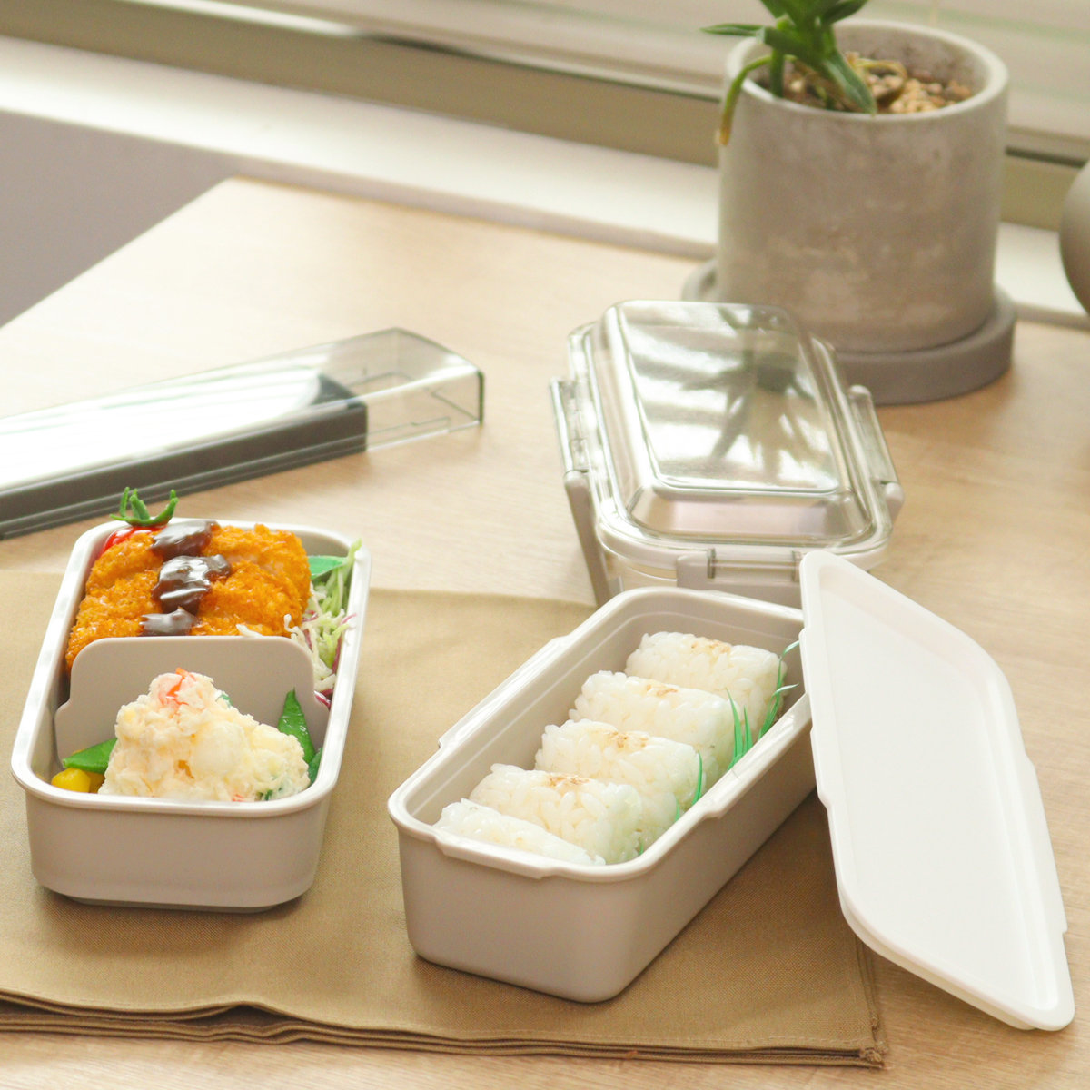 弁当箱 600ml カームカラー ランチボックス二段 仕切付 ( 食洗機対応 レンジ対応 二段 抗菌 ドーム型 4点ロック 日本製 仕切り付き 銀 AG 食洗機OK レンジOK お弁当 弁当 抗菌加工 二段弁当 )