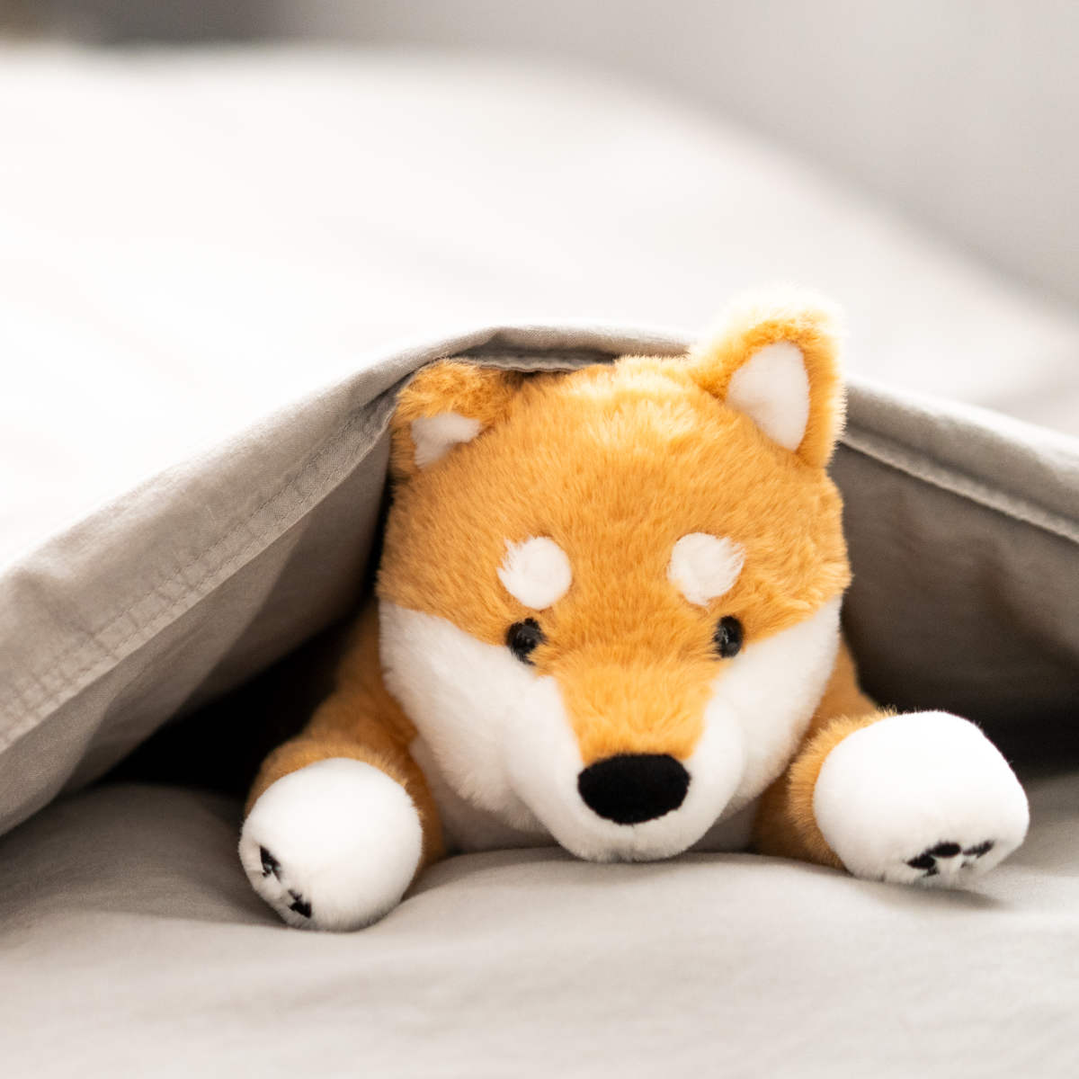 ぬいぐるみ おもぬい アニマル ( 大きい ふわふわ ノート付き クッション 抱き枕 ぬいぐるみクッション アヒル パンダ シバイヌ リアル 温もり ギフト かわいい 癒しグッズ グッズ プレゼント 人気 雑貨 インテリア ) 【アヒル】 アヒル