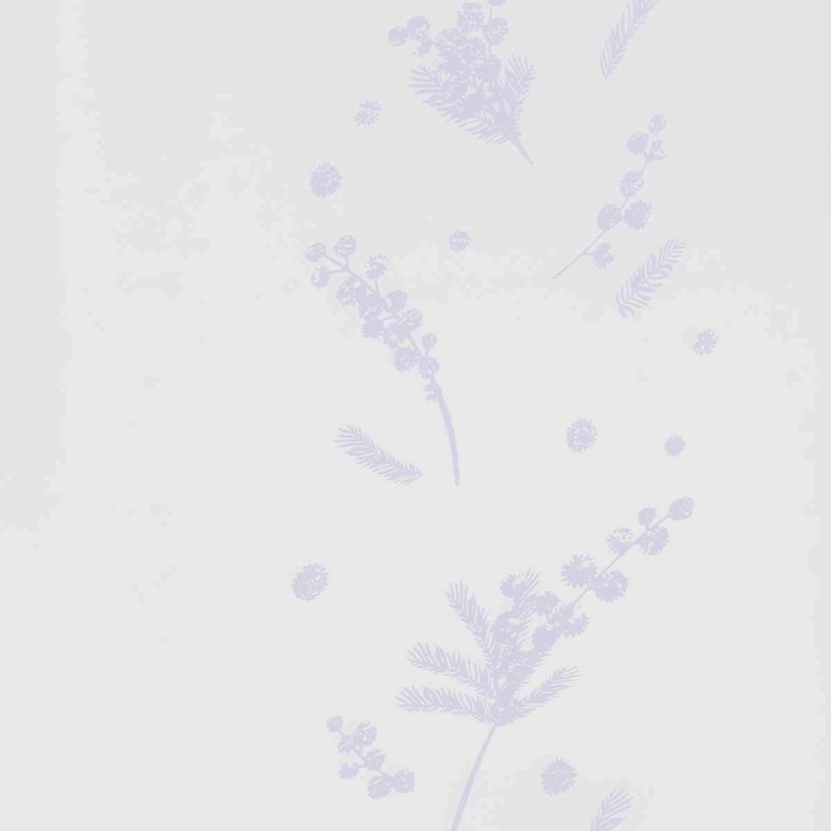 冷水ポット 2.0L クールスクエア スミレ ミモザ ( ピッチャー 冷水筒 日本製 パッキン一体型 プラスチック ワンプッシュ 麦茶ポット 大容量 水差し スリム 麦茶 水 広口 取っ手付き 片手 ) 【スミレ】 スミレ