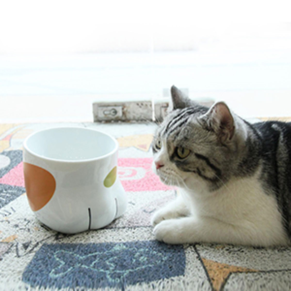 フードボウル 肉球フードボウル 犬 猫 高さがある ( ペットボウル 脚付き 斜め 犬用 猫用 ペット用 餌皿 エサ皿 食べやすい ペットフードボウル ペット用食器 えさ入れ 滑りにくい ペット用品 )