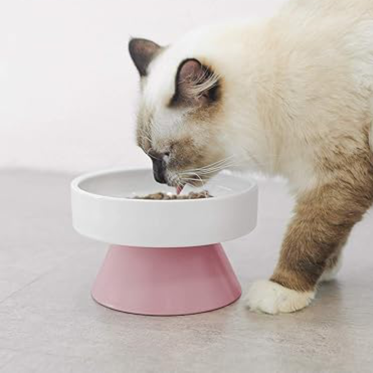 フードボウル たっぷりボウル 犬 猫 ( ペットボウル 脚付き 高さがある 広口 犬用 猫用 ペット用 餌皿 エサ皿 食べやすい ペットフードボウル ペット用食器 えさ入れ 滑りにくい ペット用品 )