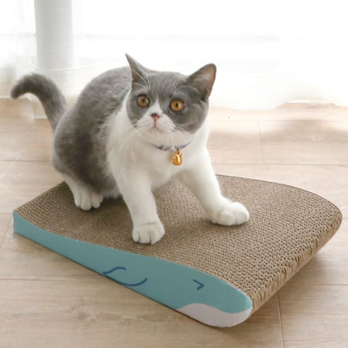 爪とぎ くじら兄弟 2個入り 猫 段ボール ( 爪研ぎ つめとぎ 猫用 爪とぎハウス ダンボール ストレス解消 遊び おもちゃ かわいい 爪磨き ガリガリ 長持ち ねこ 猫用品 ペット用品 おしゃれ )