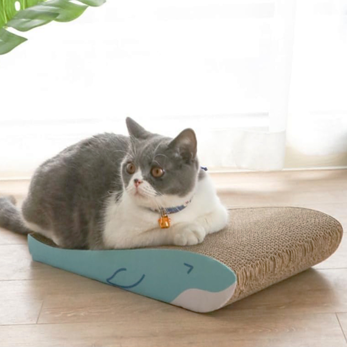 爪とぎ くじら兄弟 2個入り 猫 段ボール ( 爪研ぎ つめとぎ 猫用 爪とぎハウス ダンボール ストレス解消 遊び おもちゃ かわいい 爪磨き ガリガリ 長持ち ねこ 猫用品 ペット用品 おしゃれ )