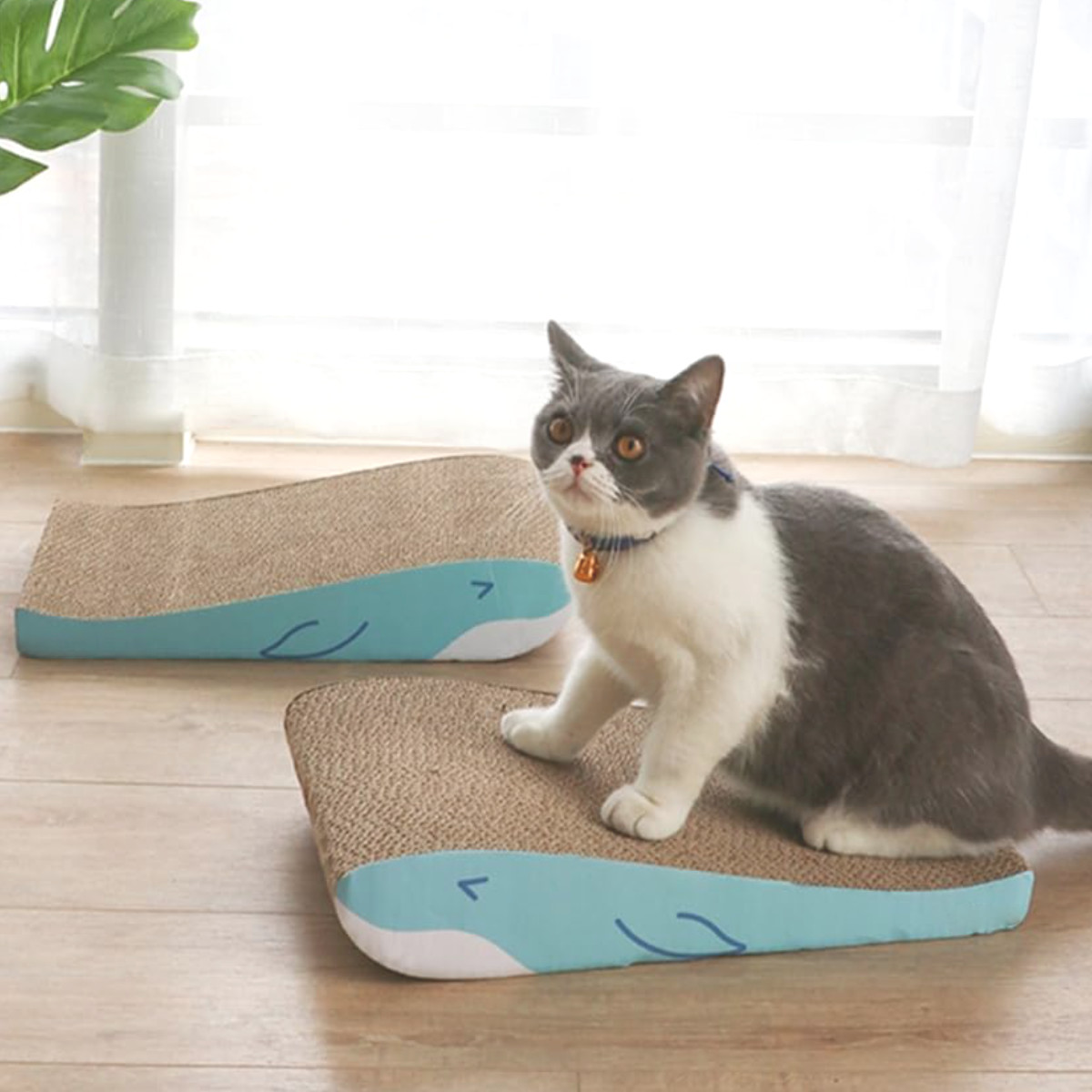 爪とぎ くじら兄弟 2個入り 猫 段ボール ( 爪研ぎ つめとぎ 猫用 爪とぎハウス ダンボール ストレス解消 遊び おもちゃ かわいい 爪磨き ガリガリ 長持ち ねこ 猫用品 ペット用品 おしゃれ )