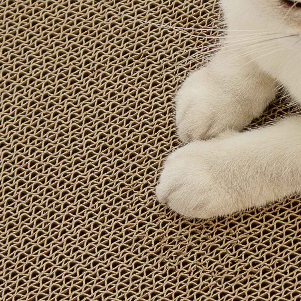 爪とぎ くじら兄弟 2個入り 猫 段ボール ( 爪研ぎ つめとぎ 猫用 爪とぎハウス ダンボール ストレス解消 遊び おもちゃ かわいい 爪磨き ガリガリ 長持ち ねこ 猫用品 ペット用品 おしゃれ )