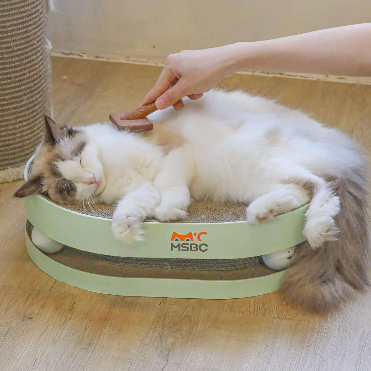 爪とぎ 無限大ボウル 猫 段ボール ( 爪研ぎ つめとぎ 猫用 ダンボール おもちゃ ボール ストレス解消 遊び かわいい 爪磨き ガリガリ 長持ち ソファ ねこ 猫用品 ペット用品 おしゃれ )