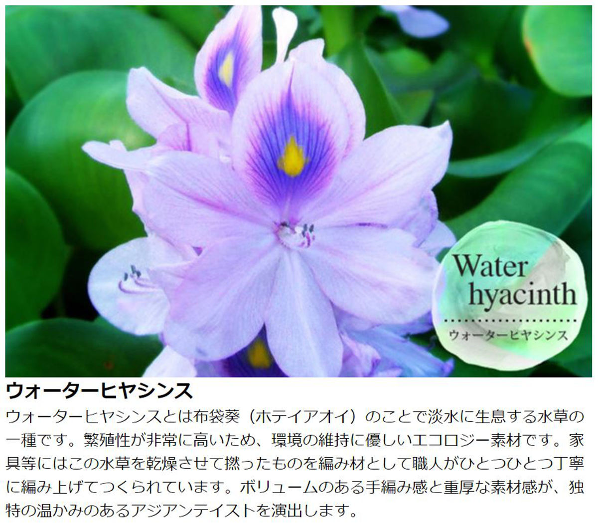 スタンドライト アジアンリゾート風 ココナッツリーフ 高さ150cm