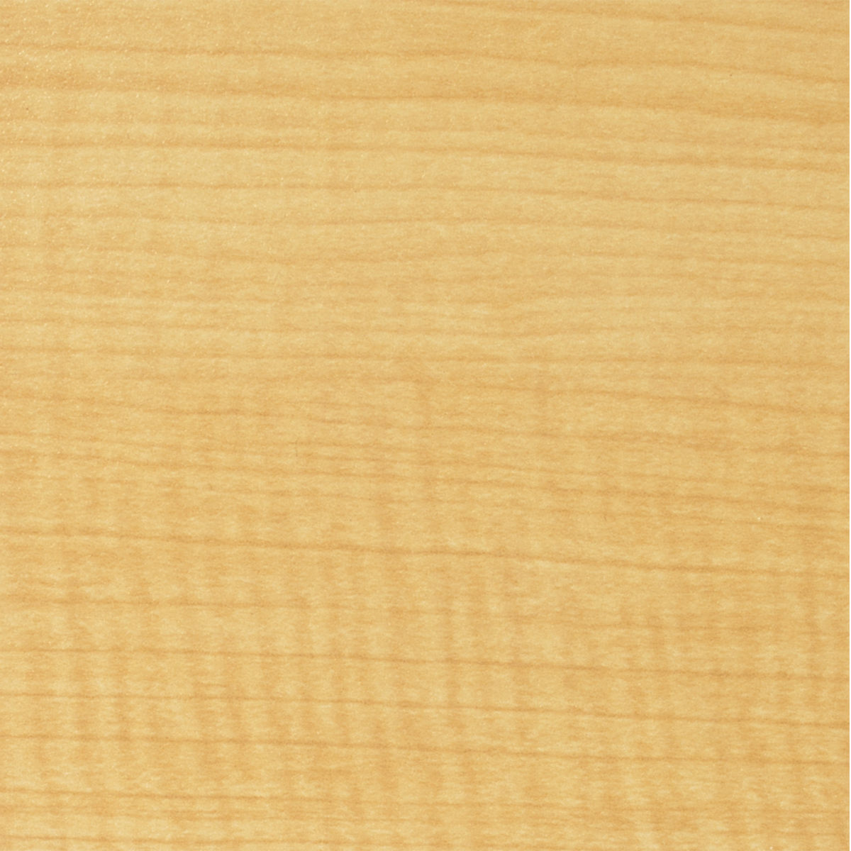 デスク 幅60cm スモール 研修用デスク パソコンデスク 棚付き L字脚 1人用 ( 法人限定 研修 学習 机 つくえ 収納棚 フック付き 天板 滑りにくい 講習 勉強会 塾 学校 学習塾 セミナー オフィス 会社 アジャスター付き ) 【ホワイト】 ホワイト